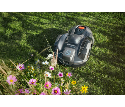 Regent Lawn Mowers